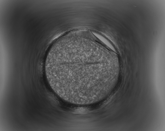 X0000082990111200703020852