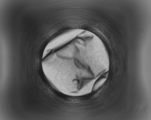 X0000082990113200703020852