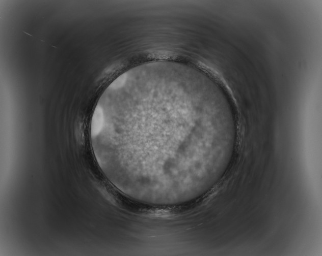 X0000082990114200703020852