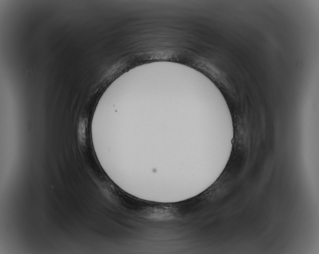 X0000082990118200703020852