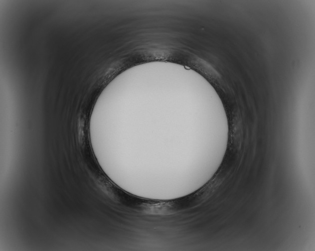 X0000082990122200703020852