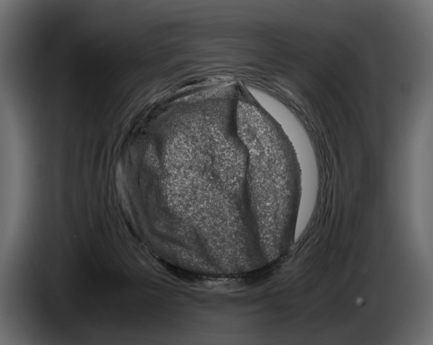 X0000082990125200703020852