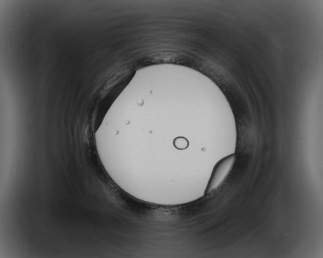 X0000082990126200703020852