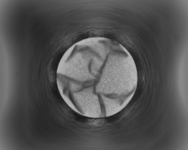 X0000082990135200703020852