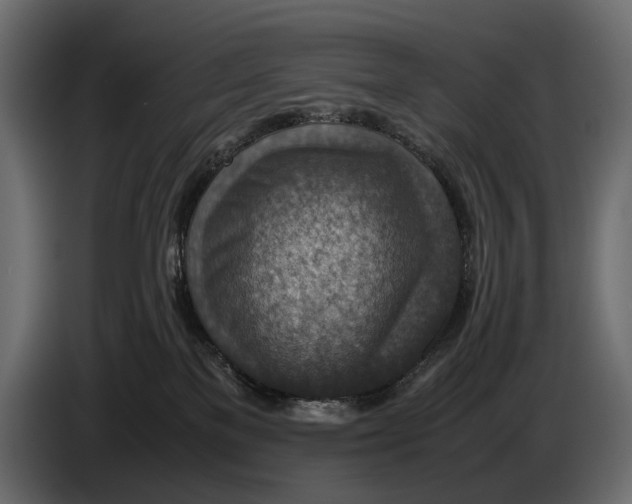 X0000082990137200703020852