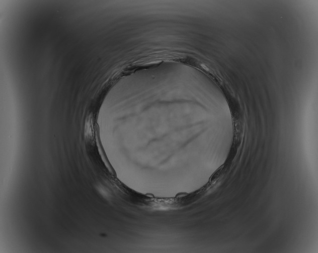 X0000082990143200703020851