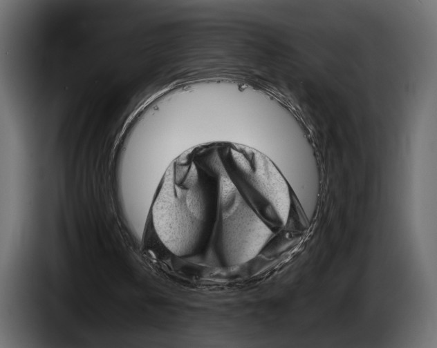 X0000082990146200703020851