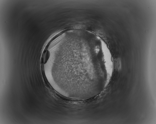 X0000082990147200703020851