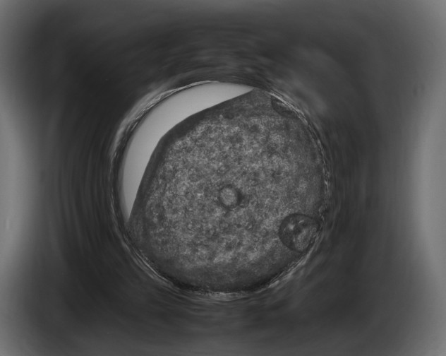 X0000082990149200703020851