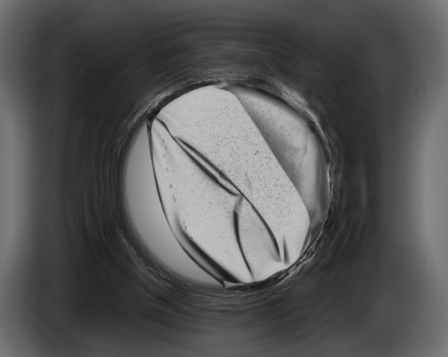 X0000082990154200703020851