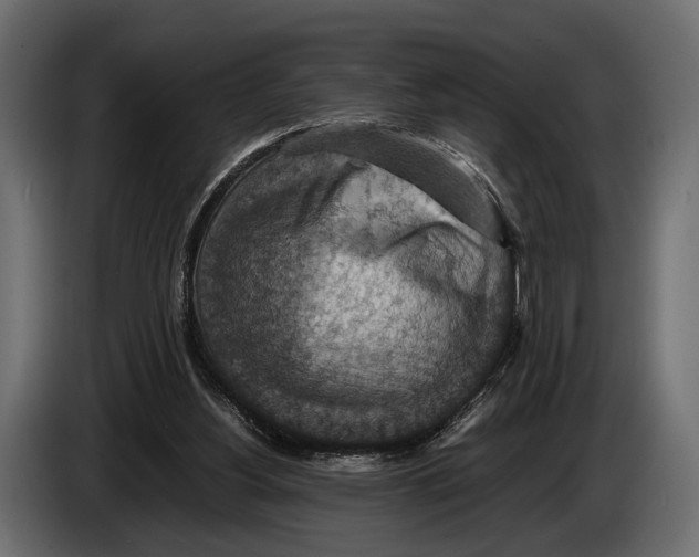 X0000082990156200703020851