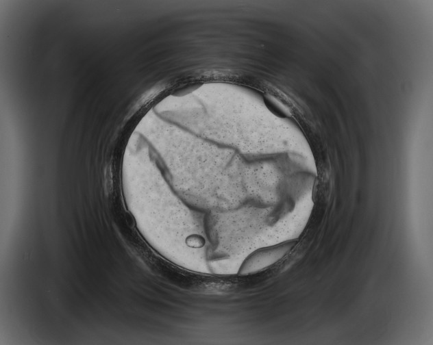 X0000082990158200703020851