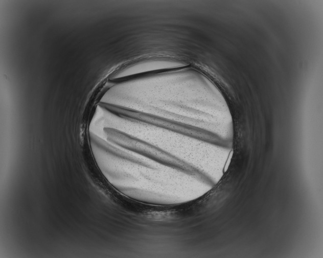 X0000082990160200703020851