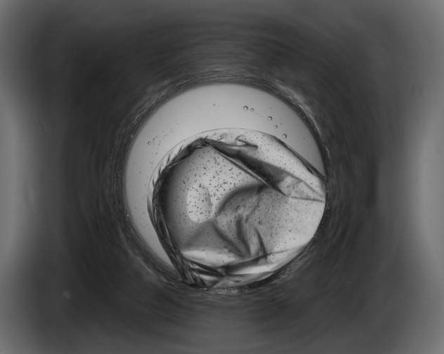 X0000082990162200703020851