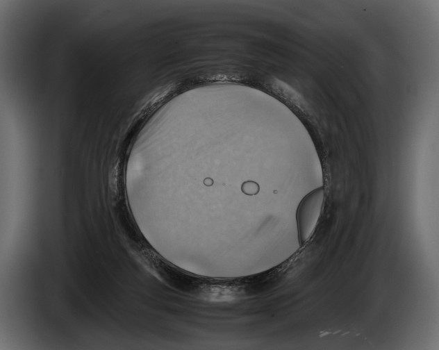 X0000082990163200703020851