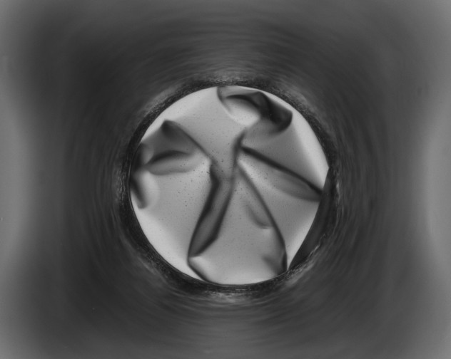 X0000082990164200703020851