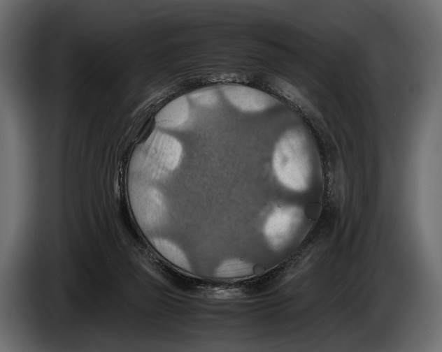 X0000082990165200703020851