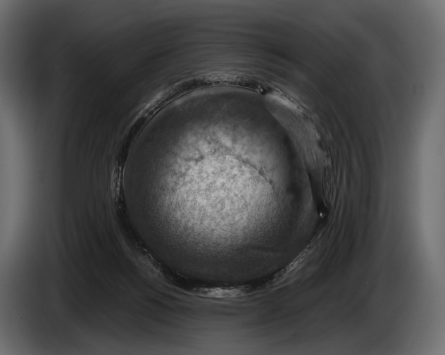 X0000082990168200703020851