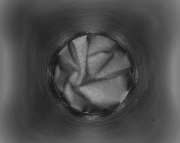 X0000082990172200703020851