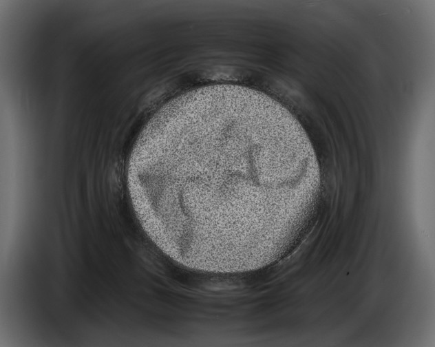 X0000082990175200703020851