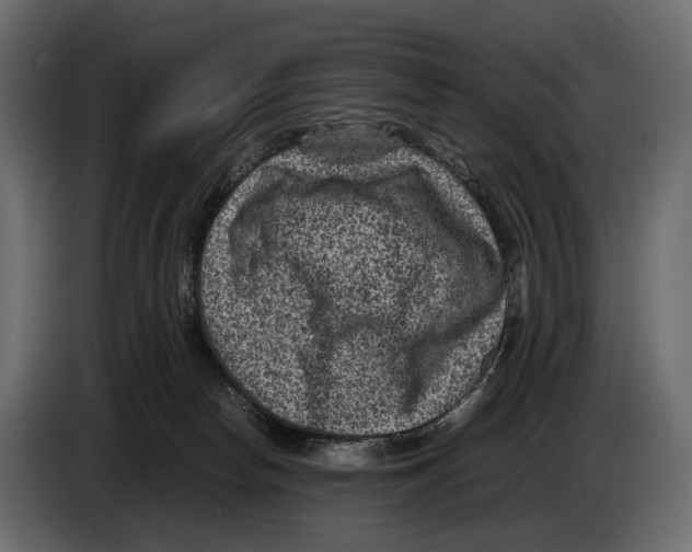 X0000082990178200703020851