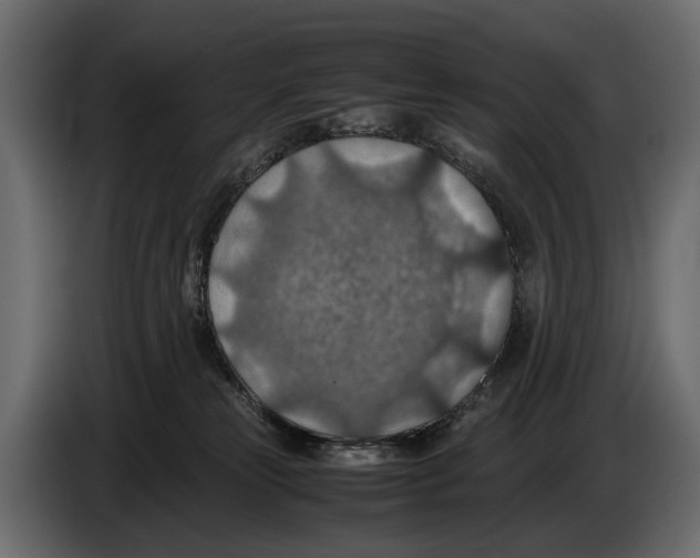 X0000082990181200703020851