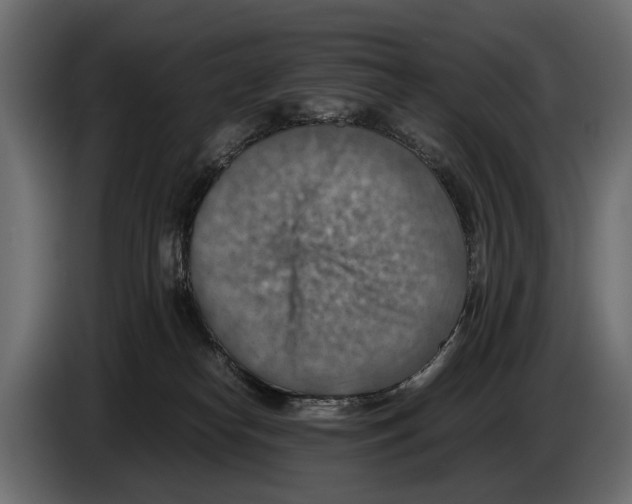 X0000082990182200703020851