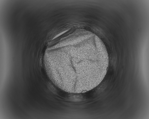 X0000082990185200703020851