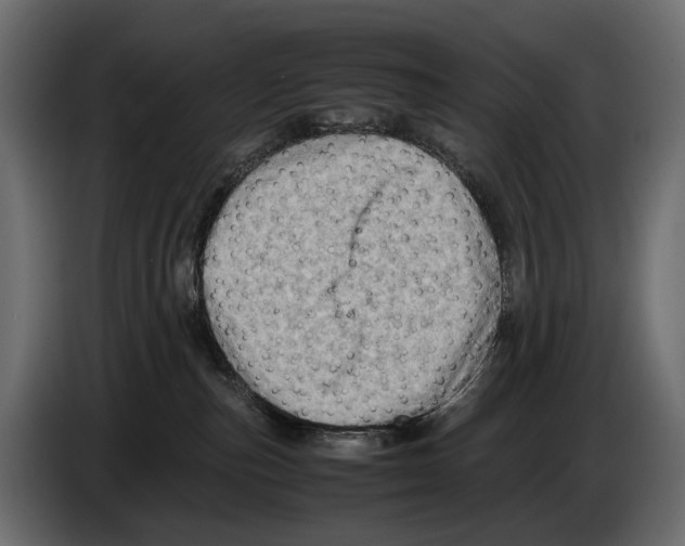 X0000082990187200703020851