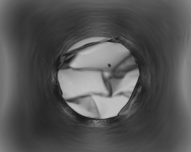 X0000082990188200703020851