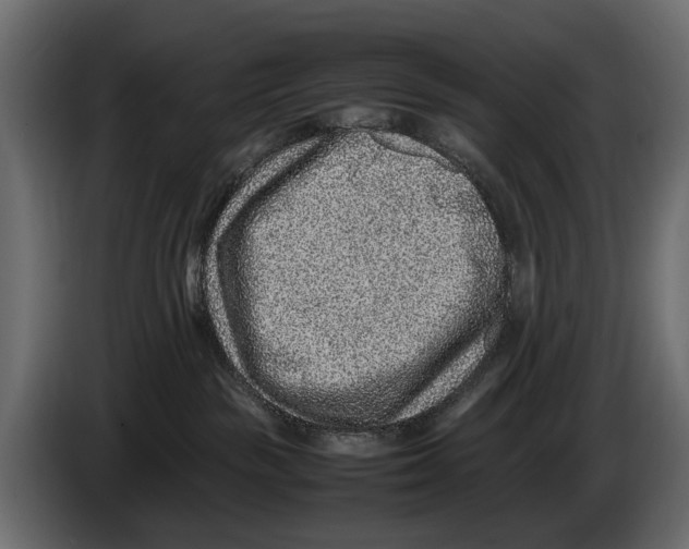 X0000082990189200703020851