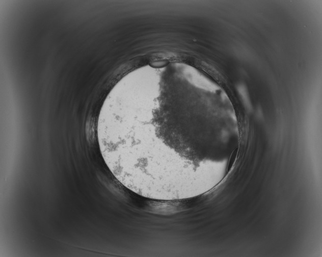 X0000082990191200703020851