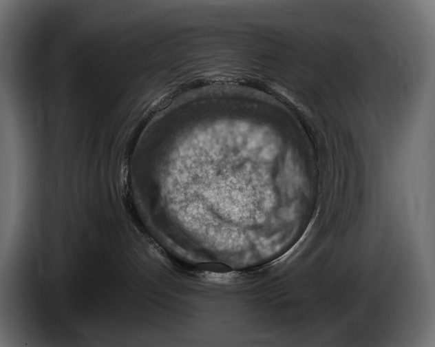 X0000082990192200703020851