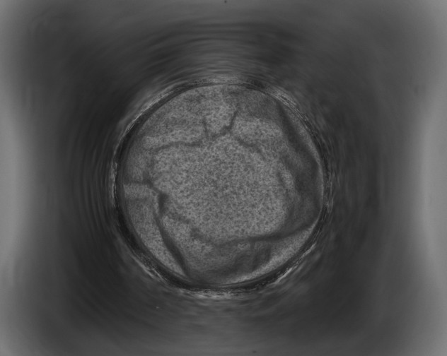 X0000082990194200703020851