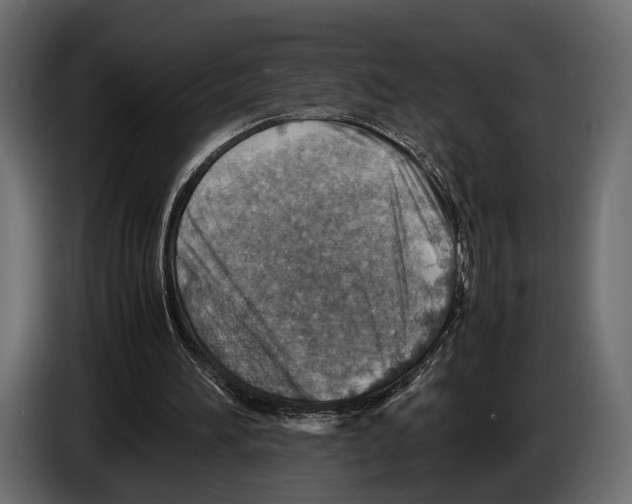 X0000082990196200703020851