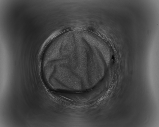 X0000082990197200703020851