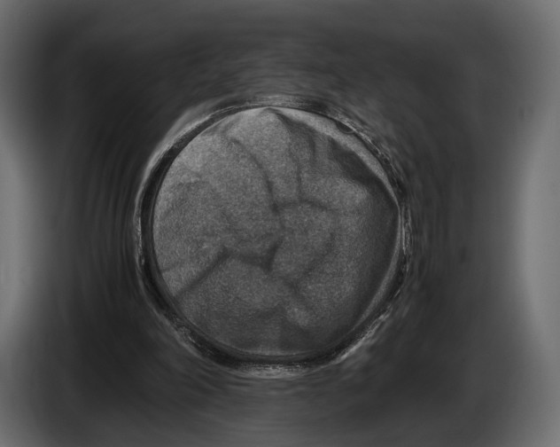 X0000082990198200703020851