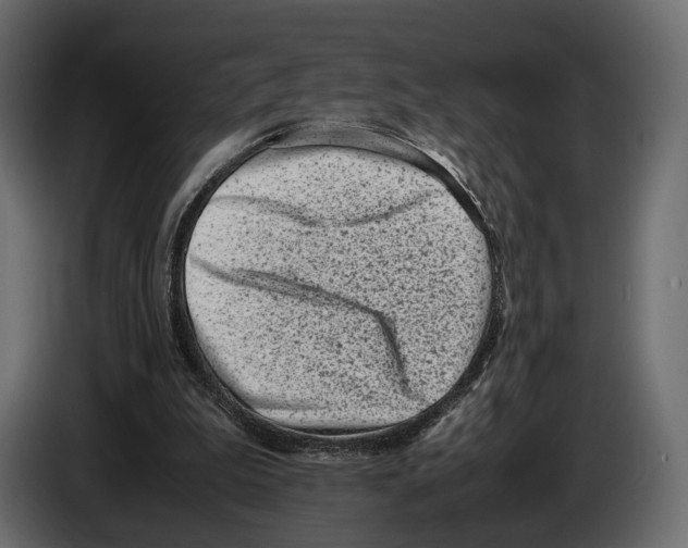 X0000082990199200703020851