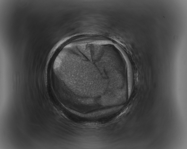 X0000082990200200703020851