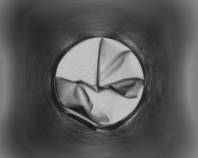 X0000082990201200703020851