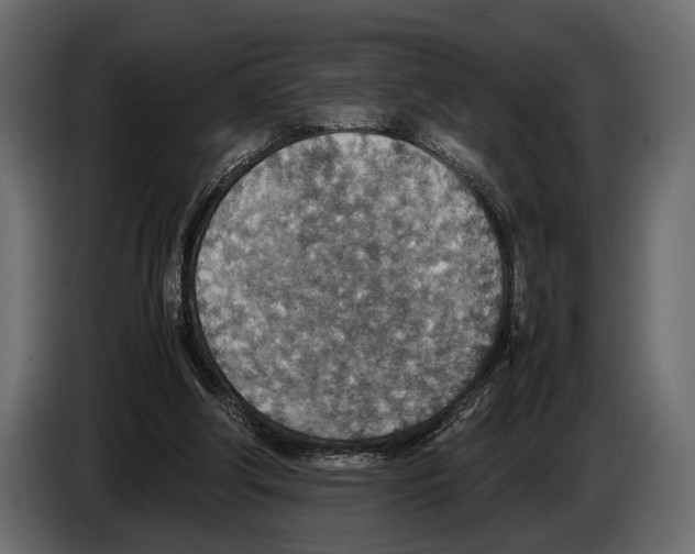 X0000082990202200703020851