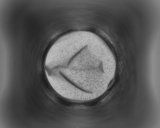 X0000082990203200703020851