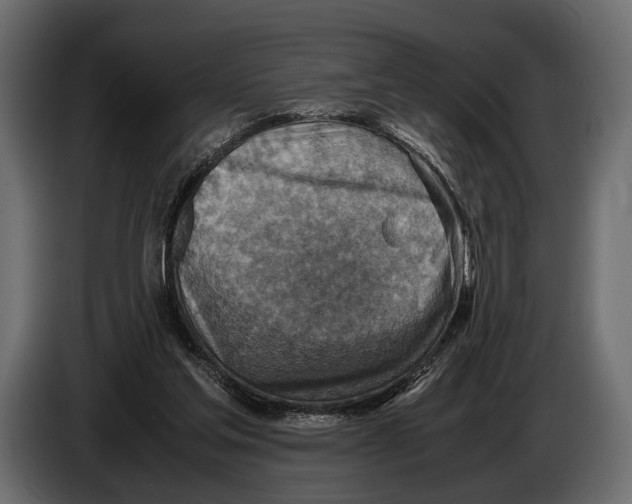 X0000082990205200703020851