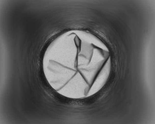 X0000082990207200703020851