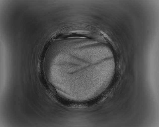 X0000082990209200703020851