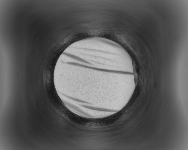 X0000082990211200703020851