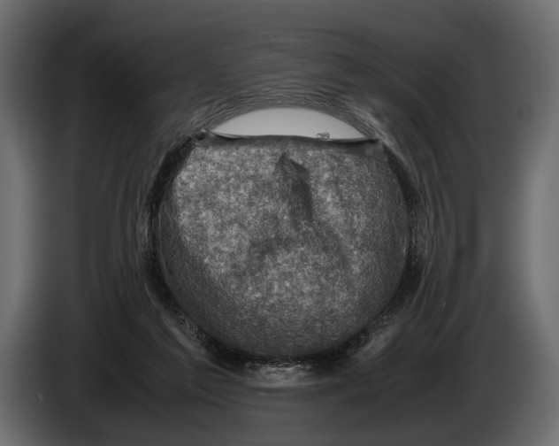 X0000082990213200703020851