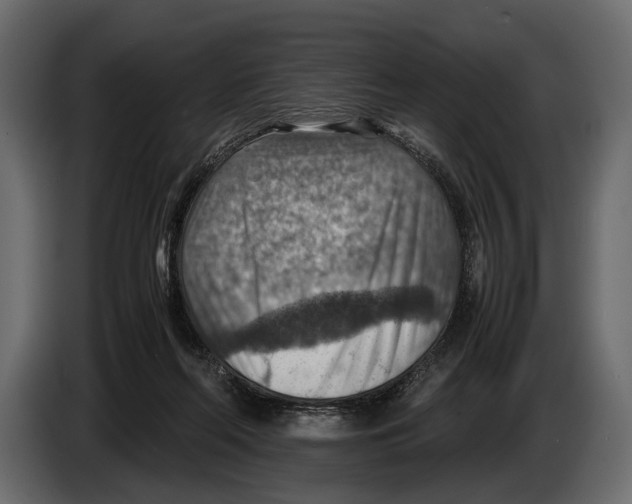 X0000082990214200703020851