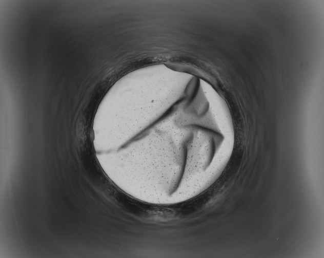 X0000082990215200703020851