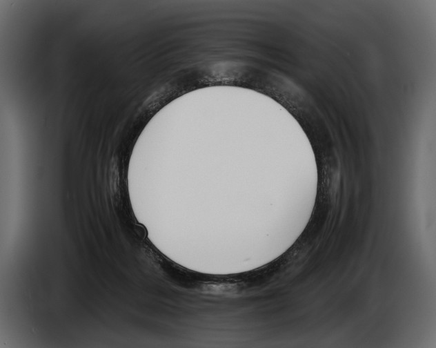 X0000082990220200703020850